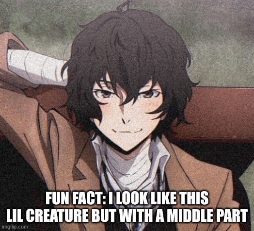 hair color? check. eye color? check. Facial Shape? Somewhat correct. Voice? check. height? similar. Personality? check. | FUN FACT: I LOOK LIKE THIS LIL CREATURE BUT WITH A MIDDLE PART | image tagged in dazai | made w/ Imgflip meme maker