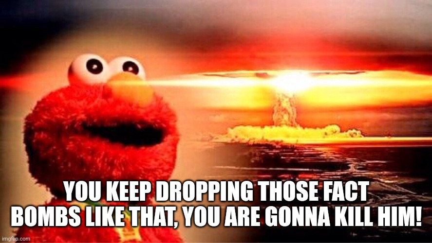 elmo nuclear explosion | YOU KEEP DROPPING THOSE FACT BOMBS LIKE THAT, YOU ARE GONNA KILL HIM! | image tagged in elmo nuclear explosion | made w/ Imgflip meme maker