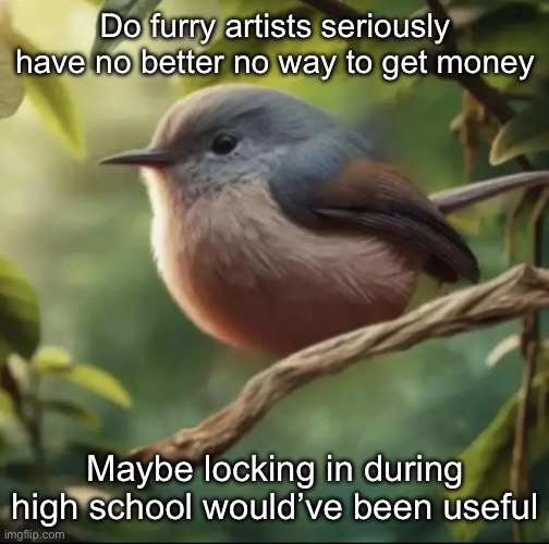 No balls | Do furry artists seriously have no better no way to get money; Maybe locking in during high school would’ve been useful | image tagged in no balls | made w/ Imgflip meme maker