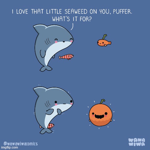 image tagged in shark,fish,pufferfish,seaweed,pumpkin,costume | made w/ Imgflip meme maker