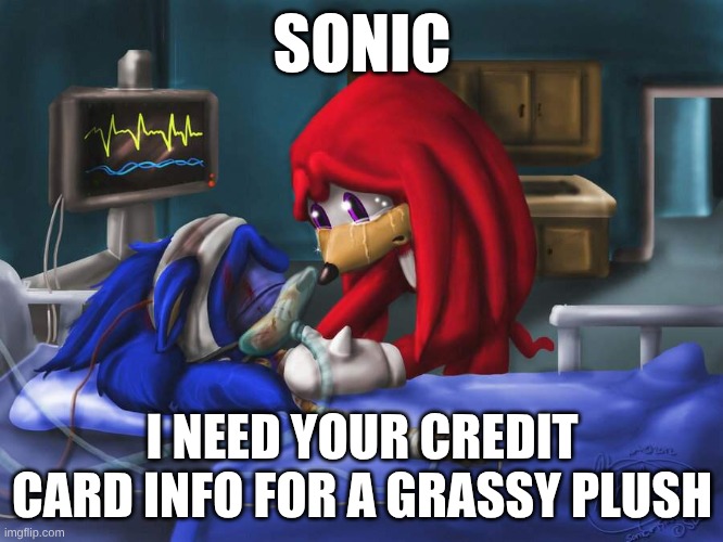 sonic please | SONIC; I NEED YOUR CREDIT CARD INFO FOR A GRASSY PLUSH | image tagged in sonic please | made w/ Imgflip meme maker