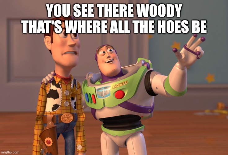 X, X Everywhere Meme | YOU SEE THERE WOODY THAT'S WHERE ALL THE HOES BE | image tagged in memes,x x everywhere | made w/ Imgflip meme maker