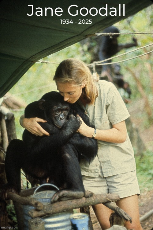 Rest In Peace | Jane Goodall; 1934 - 2025 | image tagged in memes,jane goodall | made w/ Imgflip meme maker