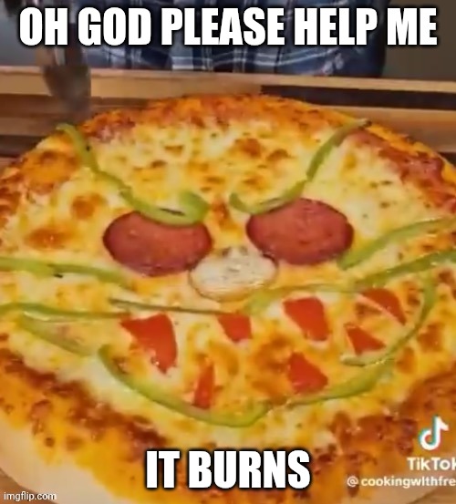 Pizza head irl | OH GOD PLEASE HELP ME; IT BURNS | image tagged in pizza head irl | made w/ Imgflip meme maker