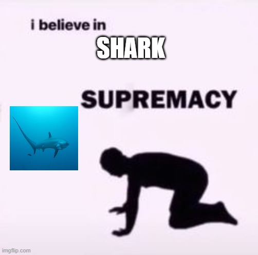 shark | SHARK | image tagged in i believe in supremacy,memes,sharks | made w/ Imgflip meme maker