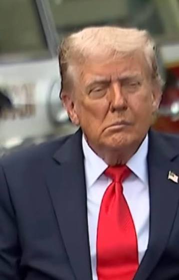 trump enjoys a stroke Blank Meme Template