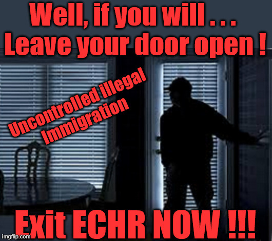 Exit the ECHR now !!! | image tagged in illegal immigration immigrants invasion,starmerresign island of strangers,starmerout labour starmer,blair digital id ai,two-tier | made w/ Imgflip meme maker