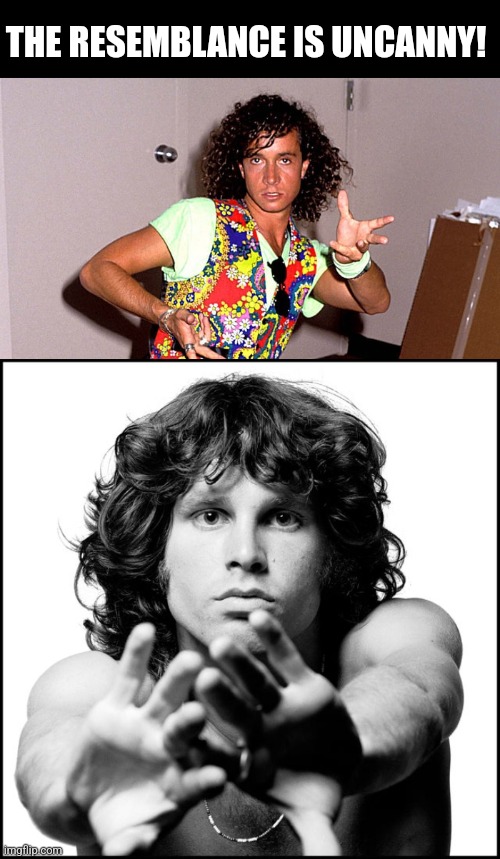 THE RESEMBLANCE IS UNCANNY! | image tagged in pauly shore | made w/ Imgflip meme maker