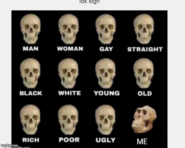this post contains 12 skulls, which are part of a skeleton. | made w/ Imgflip meme maker