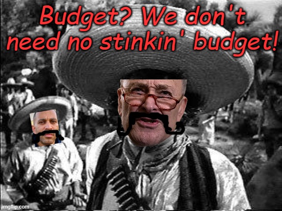 But we do need antifa and illegal aliens ands abortion on demand and NPR and no cash bail and... | Budget? We don't need no stinkin' budget! | image tagged in badges | made w/ Imgflip meme maker