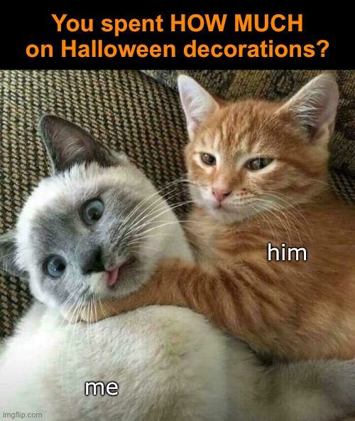 But, I had a coupon! | You spent HOW MUCH on Halloween decorations? him; me | image tagged in funny memes,halloween,decorating | made w/ Imgflip meme maker
