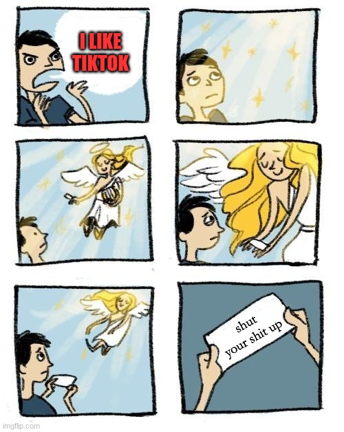 everyone will agree | I LIKE TIKTOK; shut your shit up | image tagged in message from heaven,shut up,tiktok sucks | made w/ Imgflip meme maker
