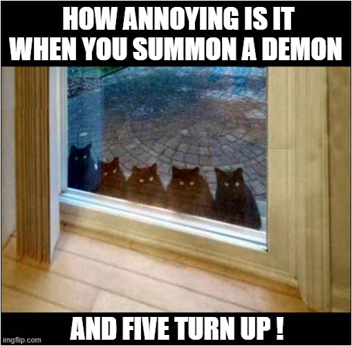 A Black Magic Ritual Gone Wrong ! | HOW ANNOYING IS IT
WHEN YOU SUMMON A DEMON; AND FIVE TURN UP ! | image tagged in cats,black magic | made w/ Imgflip meme maker