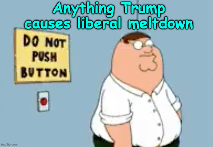 Do not push the button | Anything Trump causes liberal meltdown | image tagged in do not push button,libs are triggered so easily | made w/ Imgflip meme maker