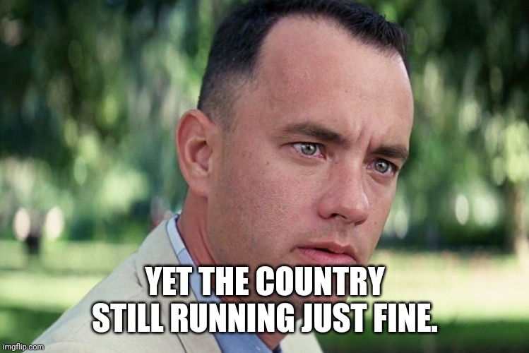 And Just Like That Meme | YET THE COUNTRY STILL RUNNING JUST FINE. | image tagged in memes,and just like that | made w/ Imgflip meme maker