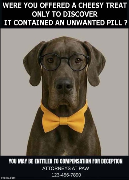 Canine Legal Advice Service | image tagged in dogs,legal advice,cheese,pills | made w/ Imgflip meme maker