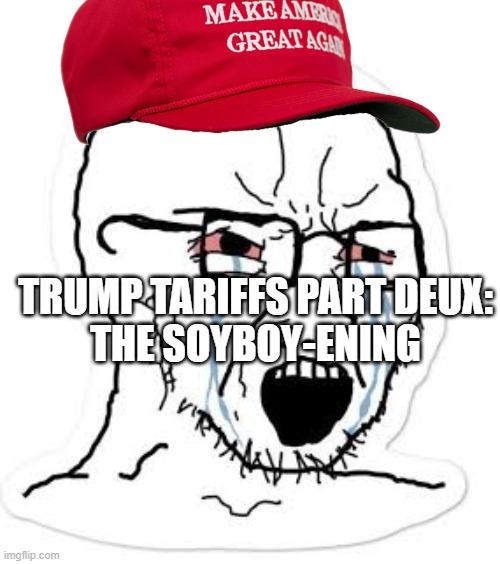 Soy boy cry | TRUMP TARIFFS PART DEUX:
THE SOYBOY-ENING | image tagged in soy boy cry | made w/ Imgflip meme maker