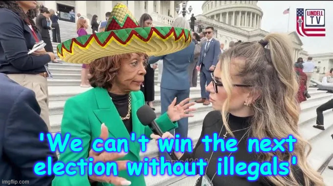 'We can't win the next election without illegals' | made w/ Imgflip meme maker