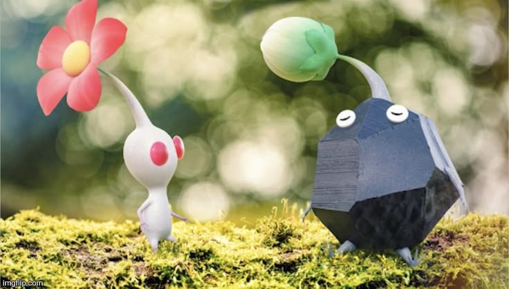 Who wants a shared template with this :) | made w/ Imgflip meme maker