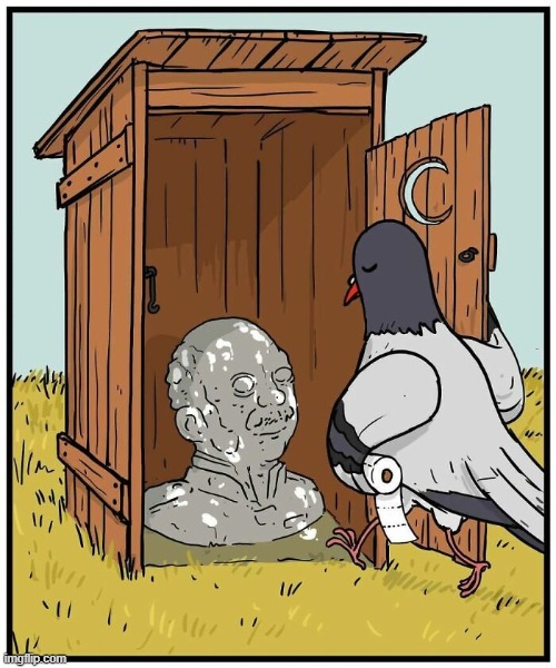 Pigeon Potty | image tagged in comics | made w/ Imgflip meme maker