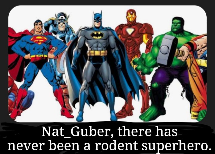 In your dreams, Nat_Guber! I mean, really! | Nat_Guber, there has never been a rodent superhero. | image tagged in rats are villians,rodents are not superheroes | made w/ Imgflip meme maker