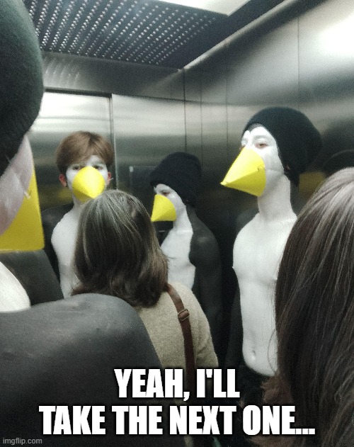 Cursed Elevator | YEAH, I'LL TAKE THE NEXT ONE... | image tagged in cursed image | made w/ Imgflip meme maker