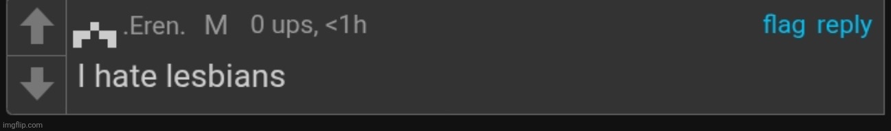 Hryy guys | image tagged in i hate lesbians denji | made w/ Imgflip meme maker