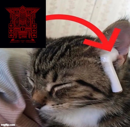 real | image tagged in cat listening to music,ultrakill,cats,music,metal | made w/ Imgflip meme maker