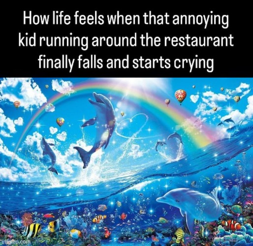 image tagged in happy dolphin rainbow | made w/ Imgflip meme maker