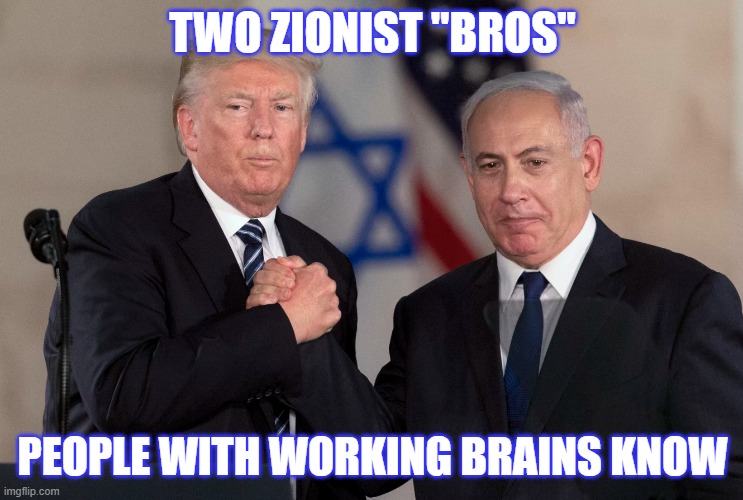TWO ZIONIST "BROS"; PEOPLE WITH WORKING BRAINS KNOW | image tagged in political meme | made w/ Imgflip meme maker