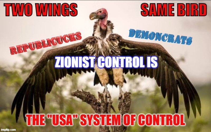 The Divided States of America | ZIONIST CONTROL IS | image tagged in political meme,nwo | made w/ Imgflip meme maker