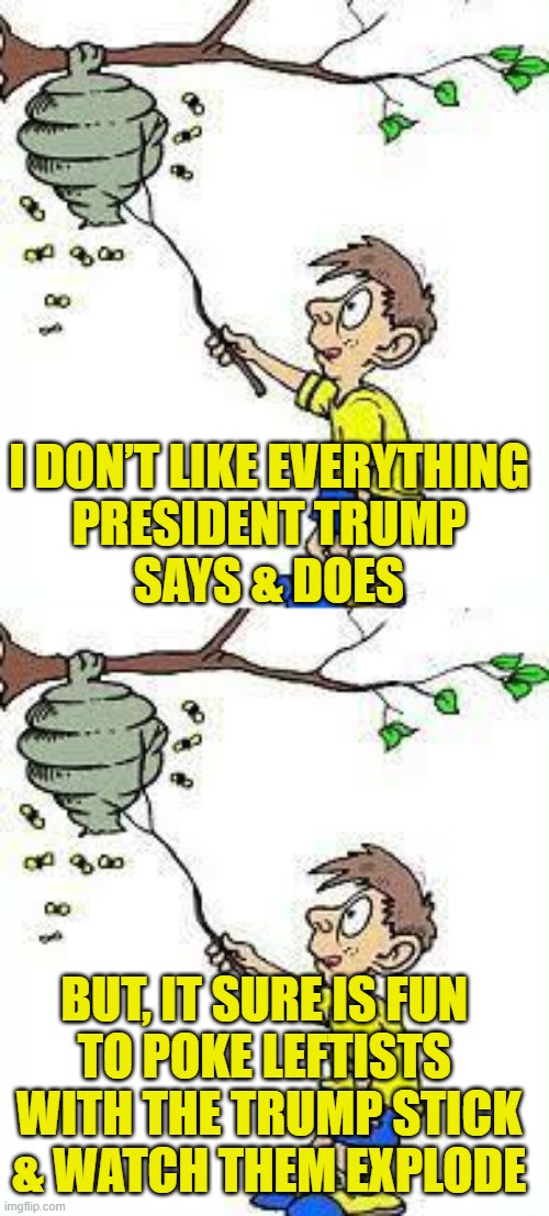 Triggering Leftists is too easy | I DON’T LIKE EVERYTHING
PRESIDENT TRUMP
SAYS & DOES; BUT, IT SURE IS FUN 
TO POKE LEFTISTS 
WITH THE TRUMP STICK
& WATCH THEM EXPLODE | image tagged in leftists | made w/ Imgflip meme maker