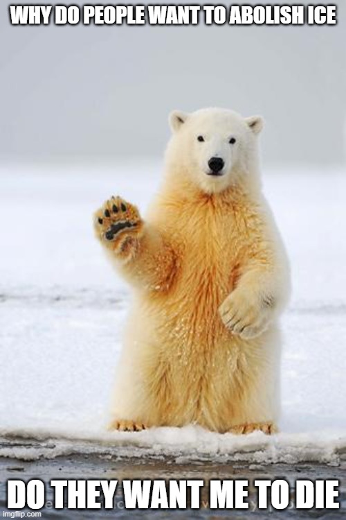 hello polar bear | WHY DO PEOPLE WANT TO ABOLISH ICE; DO THEY WANT ME TO DIE | image tagged in hello polar bear | made w/ Imgflip meme maker
