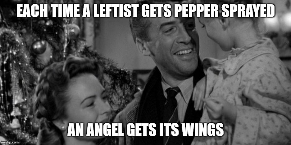 each time a leftist gets pepper sprayed | EACH TIME A LEFTIST GETS PEPPER SPRAYED; AN ANGEL GETS ITS WINGS | image tagged in an angel gets his wings | made w/ Imgflip meme maker