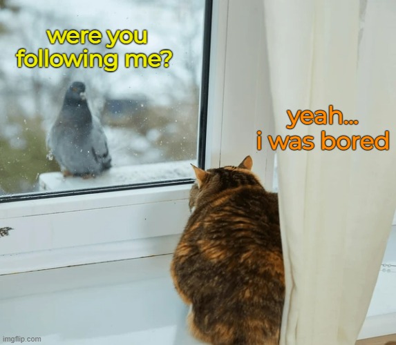 were you following me? yeah...
i was bored | made w/ Imgflip meme maker