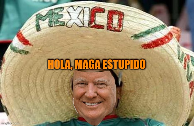 Mexico | HOLA, MAGA ESTUPIDO | image tagged in mexico | made w/ Imgflip meme maker