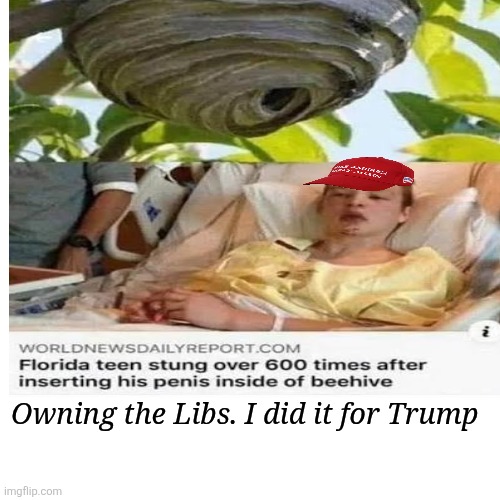 Blank Transparent Square Meme | Owning the Libs. I did it for Trump | image tagged in memes,blank transparent square | made w/ Imgflip meme maker