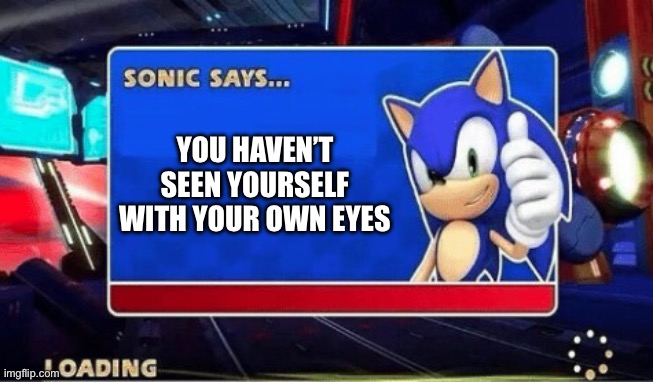 i dunno its just something thats weird | YOU HAVEN’T SEEN YOURSELF WITH YOUR OWN EYES | image tagged in sonic says,i wonder | made w/ Imgflip meme maker
