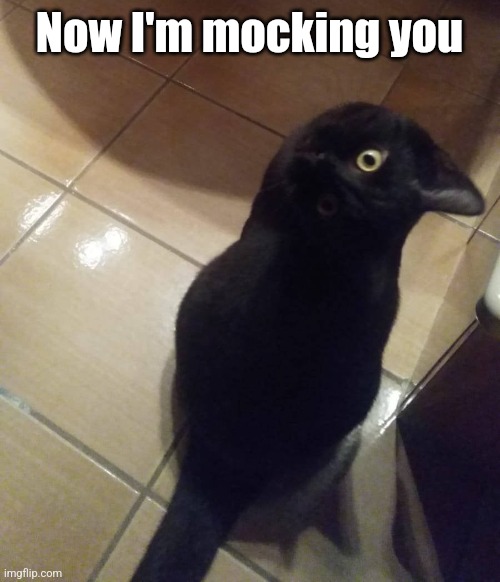 Now I'm mocking you | made w/ Imgflip meme maker