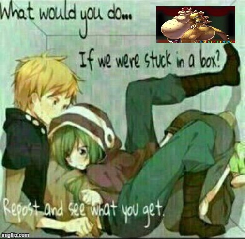 What would you do if we were stuck in a box? | image tagged in what would you do if we were stuck in a box | made w/ Imgflip meme maker