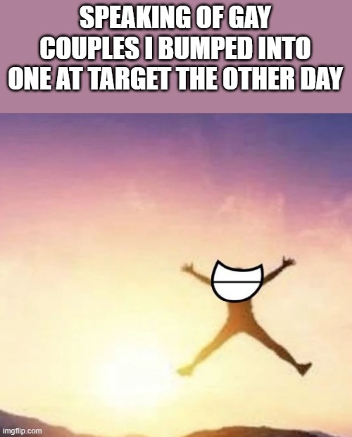 for whatever reason one got cut by broken glass in the booze isle </3 | SPEAKING OF GAY COUPLES I BUMPED INTO ONE AT TARGET THE OTHER DAY | image tagged in yippee | made w/ Imgflip meme maker