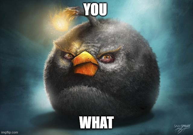 angry birds bomb | YOU WHAT | image tagged in angry birds bomb | made w/ Imgflip meme maker