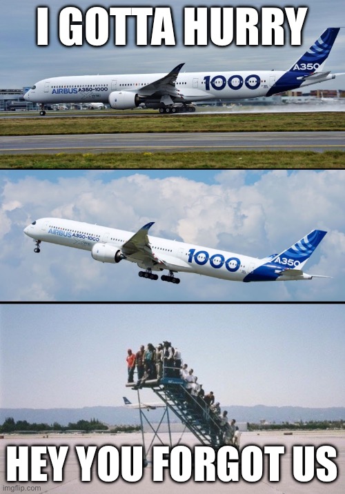 plen | I GOTTA HURRY; HEY YOU FORGOT US | image tagged in plane forgot passengers | made w/ Imgflip meme maker