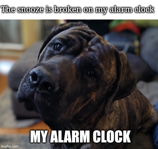 Wakey wakey | The snooze is broken on my alarm clock; MY ALARM CLOCK | made w/ Imgflip meme maker