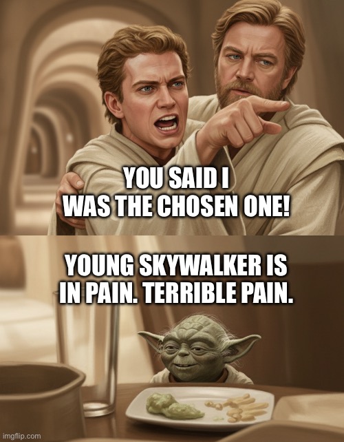 Angry Anakin yelling at Yoda | YOU SAID I WAS THE CHOSEN ONE! YOUNG SKYWALKER IS IN PAIN. TERRIBLE PAIN. | image tagged in angry anakin yelling at yoda blank,star wars,star wars yoda,star wars anakin,woman yelling at cat | made w/ Imgflip meme maker