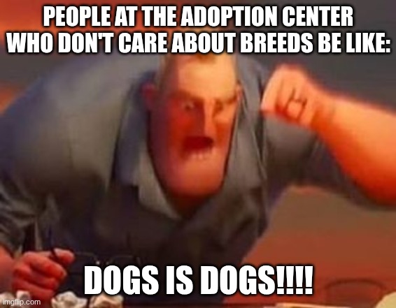 yaaahgh | PEOPLE AT THE ADOPTION CENTER WHO DON'T CARE ABOUT BREEDS BE LIKE:; DOGS IS DOGS!!!! | image tagged in mr incredible mad | made w/ Imgflip meme maker