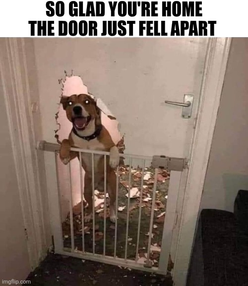 So Glad You're Home The Door Just Fell Apart | SO GLAD YOU'RE HOME THE DOOR JUST FELL APART | image tagged in chrisjoines1 | made w/ Imgflip meme maker