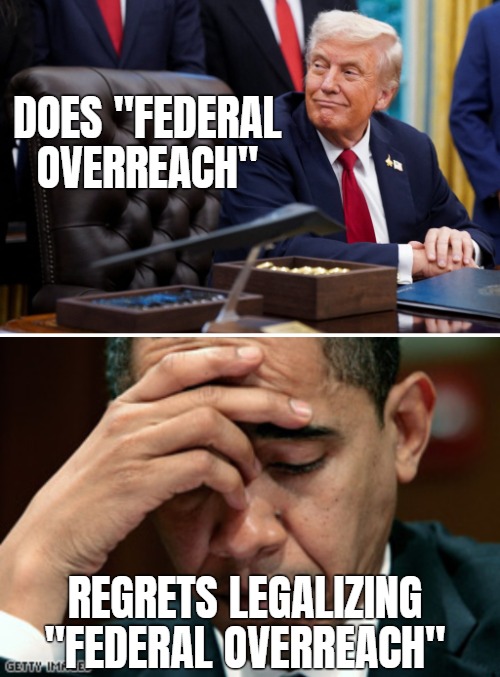 When you created laws without Congress, but thought you'd still be in absolute power | DOES "FEDERAL OVERREACH"; REGRETS LEGALIZING "FEDERAL OVERREACH" | image tagged in american politics,donald trump | made w/ Imgflip meme maker