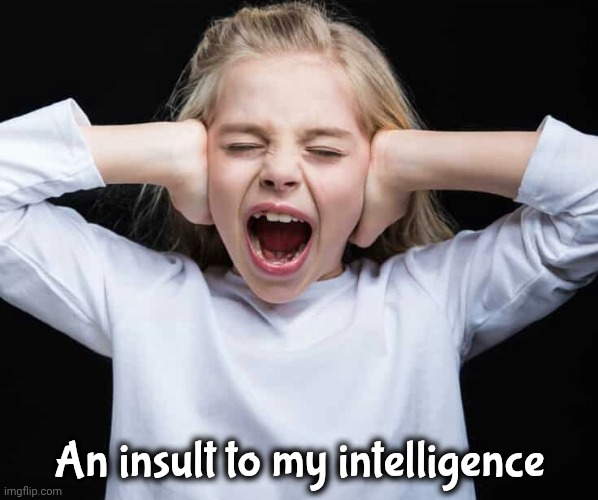 Cover ears, not listening | An insult to my intelligence | image tagged in cover ears not listening | made w/ Imgflip meme maker