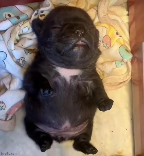 scarred beyond the point of scarring, no regard for who you're harming | made w/ Imgflip meme maker